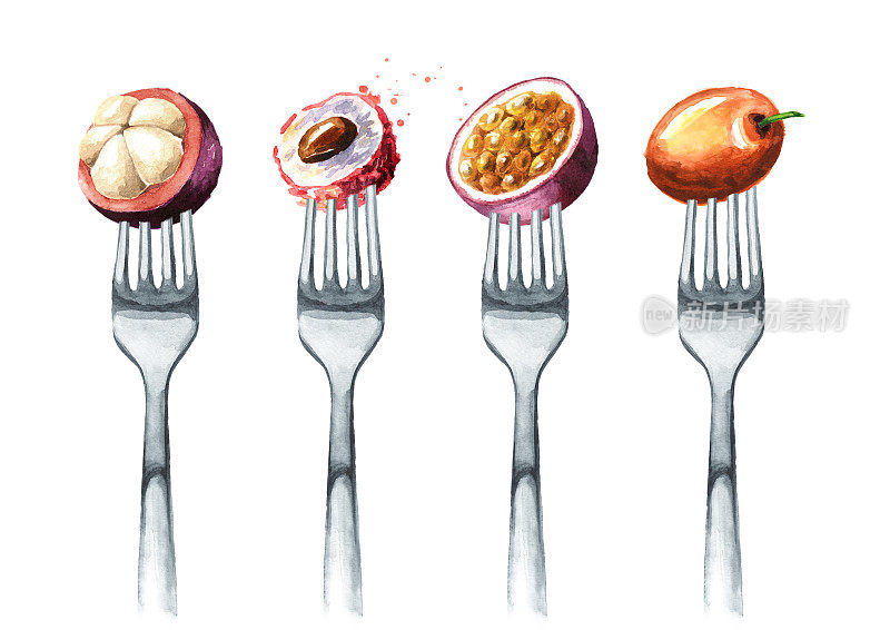 Tropical mangosteen, litchi, jujube, passion fruit on a fork. Concept of diet and healthy eating. Hand drawn watercolor illustration isolated on white background